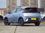 2025 BYD Seagull Flying Edition