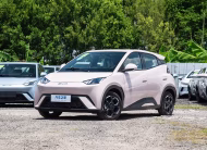 2025 BYD Seagull Flying Edition