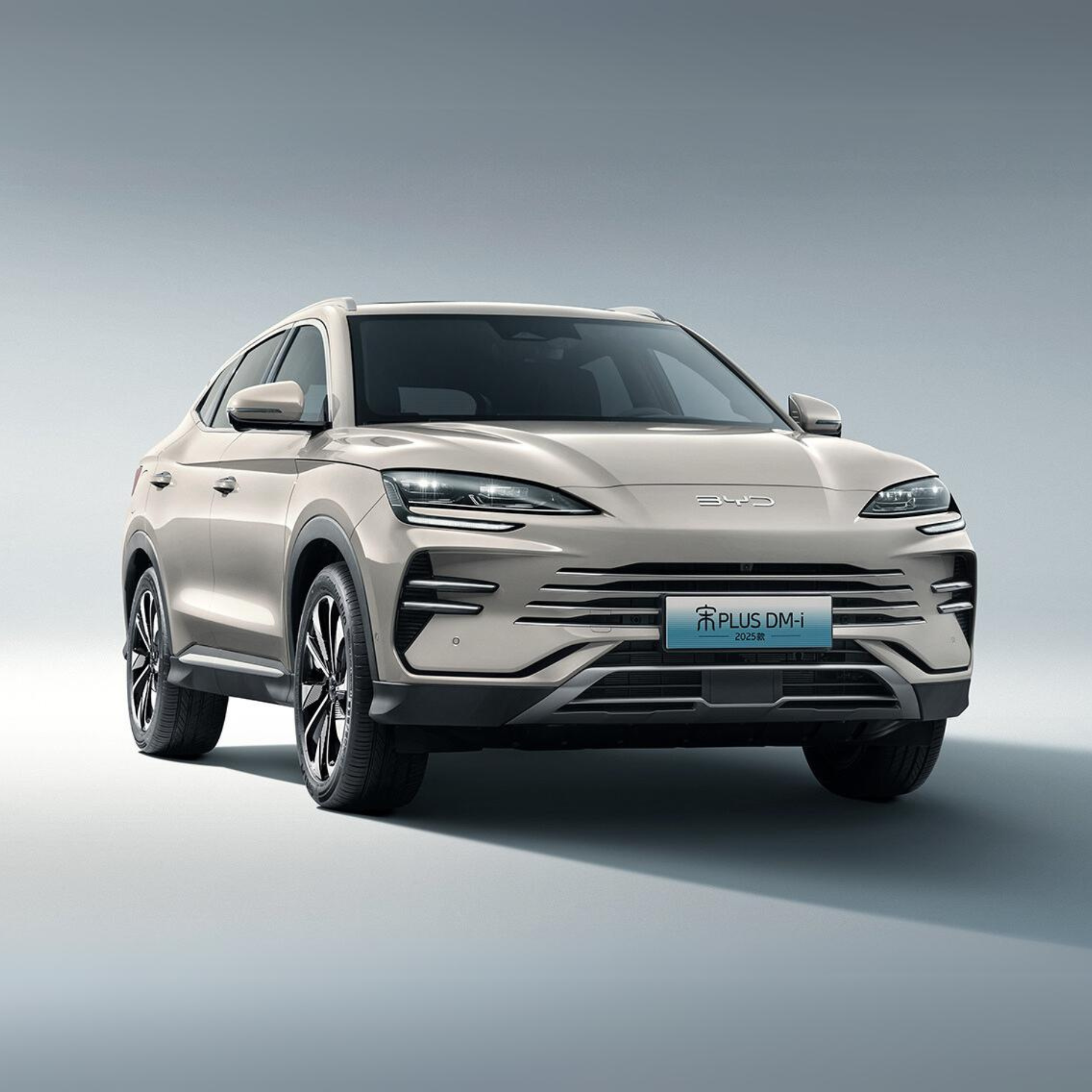 2025 BYD Song Plus EV