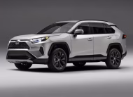Toyota RAV4 2.0 L