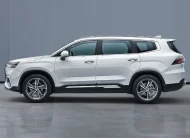 2025 Geely Okavango 2.0 Turbo (China Specs)