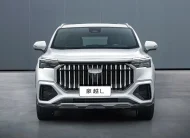 2025 Geely Okavango 2.0 Turbo (China Specs)